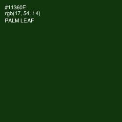 #11360E - Palm Leaf Color Image